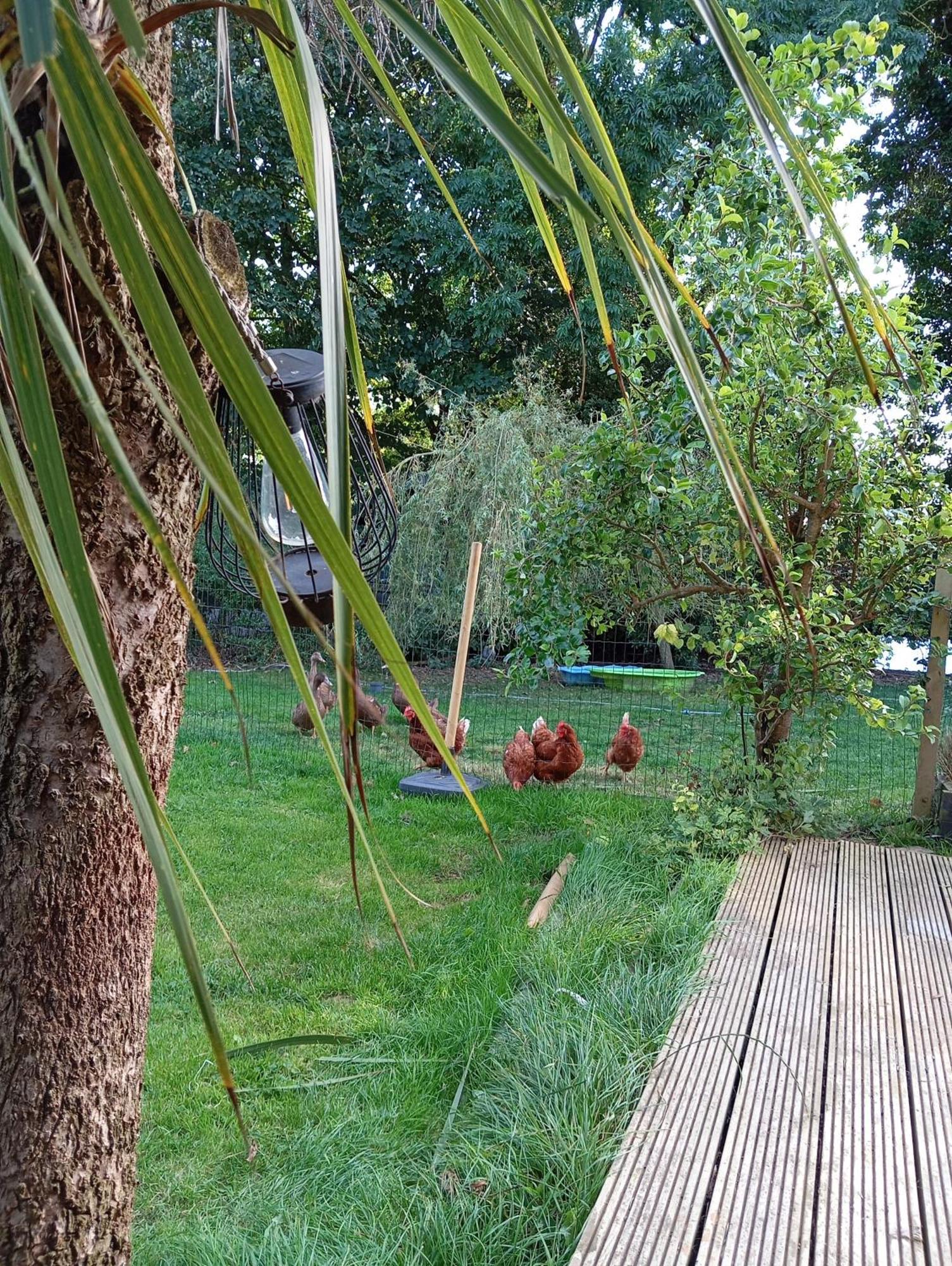 Vakantiehuis Adventure Retreat 'the Cabanne' No Shower